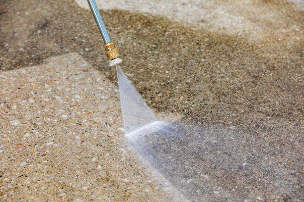 Best Animal Enclosure Cleaning  in Thorndale, TX